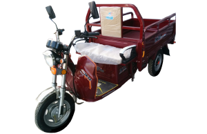 erider motors,eridermotors, אי ריידר מוטורס מספקת אופנועים חשמליים, מצברים, תחנות טעינה ומטענים מהירה, הדגמים הכי חדשים שיש: שמשון, ביוטי, שמשון 4D , אופניים חשמליות זאפ, אופניים חשמליות יד 2, אופנוע חשמלי ,גרין בייק, אופניים חשמליות שמשון